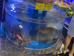 -新海渔港·胶东海鲜家常菜·家宴(奥体中心店)