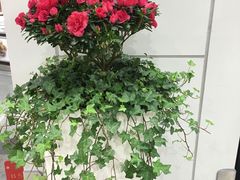 -福州长乐国际机场