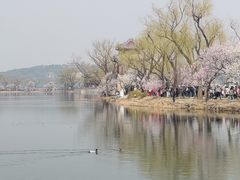 -颐和园