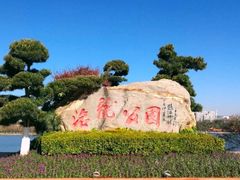 -洛龙公园