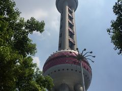 -东方明珠国际旅行社有限公司
