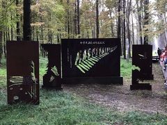 -黄海国家森林公园