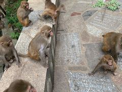 -黔灵山公园