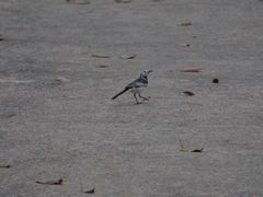-天台山赤城山景区
