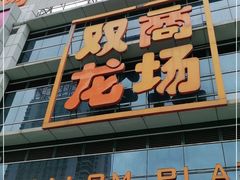 -双龙商场(环城南路店)