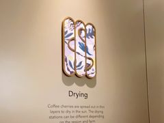 -星巴克臻选(北京蓝色港湾RO店)