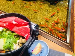 -森味薪火烧•烧鸟居酒屋•日本料理(望京店)