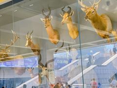 -陕西自然博物馆