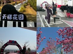 -盈香心动乐园