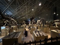 -世界恐龙谷景区