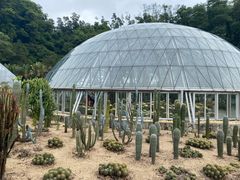 -深圳仙湖植物园