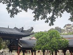 -广东花都湖国家湿地公园