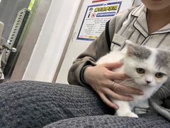 -四月宠物医院·猫专科·心脏专科·内科(转塘店)