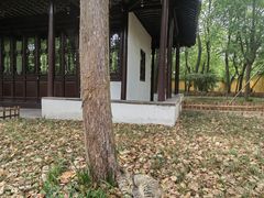 -西园戒幢律寺