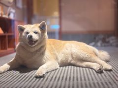 -大江户·温泉洗浴(浑南店)