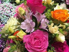-双季花艺园艺市场(浦东店)