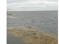 -青海湖仙女湾景区