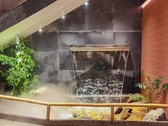 -皇厨荣升名厨家宴.赣州客家菜