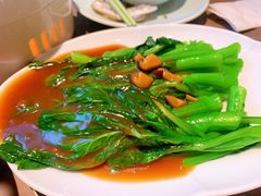 蚝油菜心-四道菜·福建菜馆(新街口金鹰店)