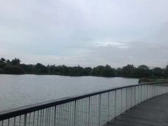 -海珠湖公园