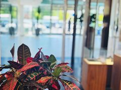 -北京盈之宝宝马4S店(望京店)