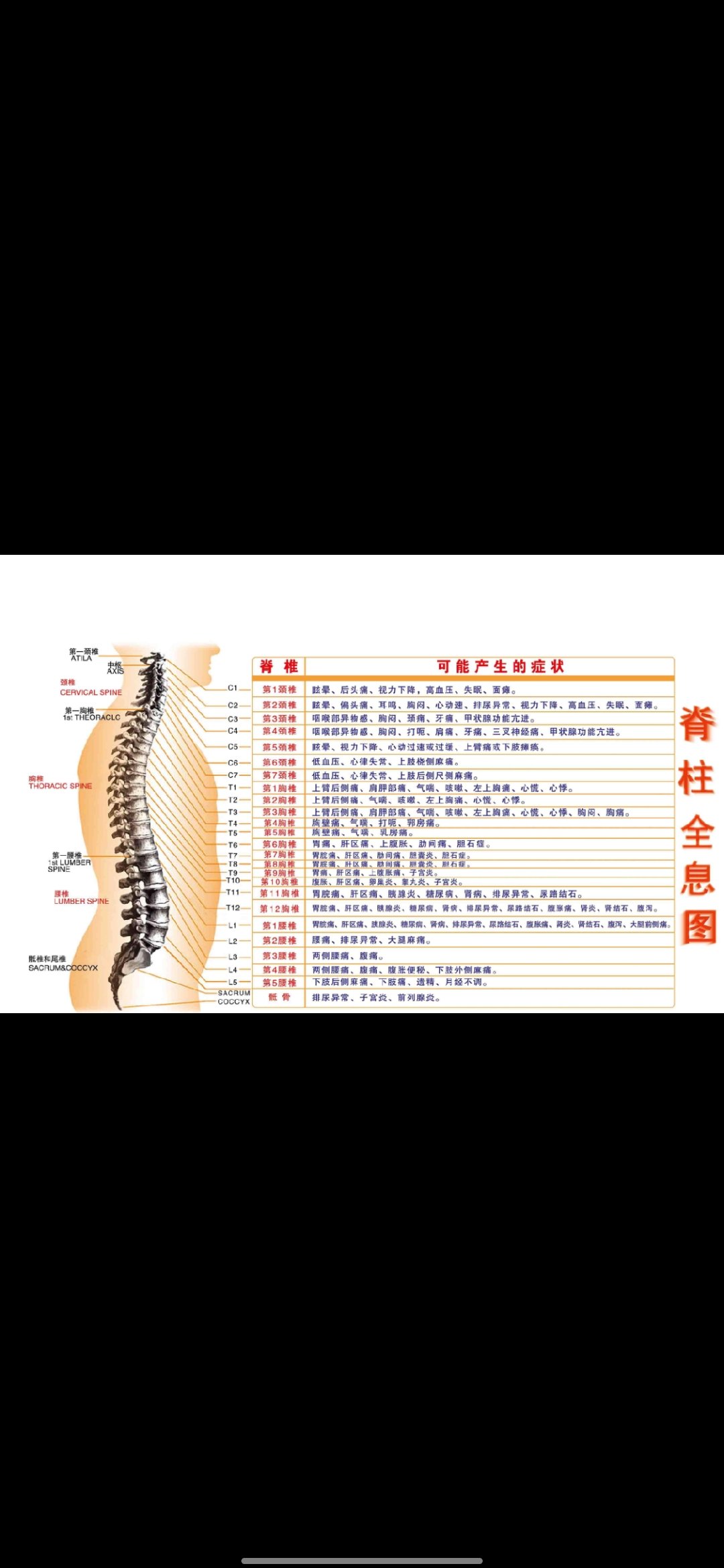 人体脊椎疾病对照表图片