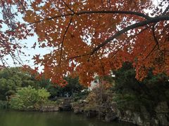 -白马涧龙池景区