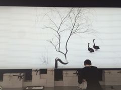 -BLACKSWAN黑天鹅(环球店)