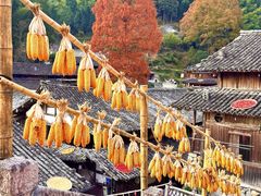 -林坑古村落