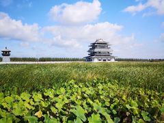 -呼兰河口湿地公园