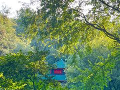 -岳麓山风景名胜区