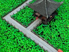 -同里国家湿地公园