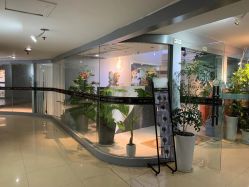 -轩舞汇·爵士舞街舞训练营