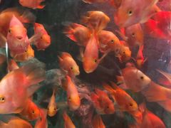 -苏州海洋馆