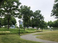 -上海山野camping·户外天幕烧烤·团建拓展营地