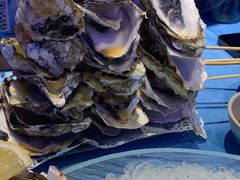 -千岛蚝高压锅生蚝·人参火锅(白云万达店)