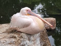 -昆明动物园