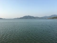 -四明山国家森林公园