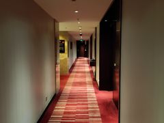 -上海龙之梦万丽酒店