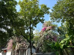 -深圳国际园林花卉博览园