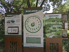 -玲珑塔公园