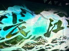 -重庆国际马戏城