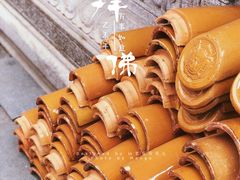 -东莞市大岭山森林公园