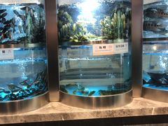 -老船舫·现做活鲜鱼馆(东郊记忆店)