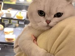 -威海大水泊国际机场