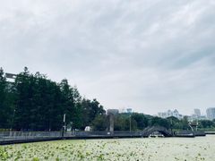 -月湖风景区