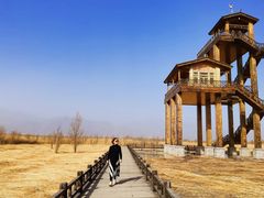 -野鸭湖国家湿地公园