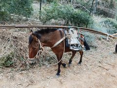 -会稽山峡洞漂流-上青古道