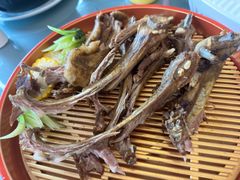 -一麦·龙岛(上海青浦店)