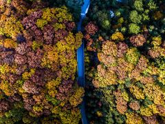 -洛阳白云山景区